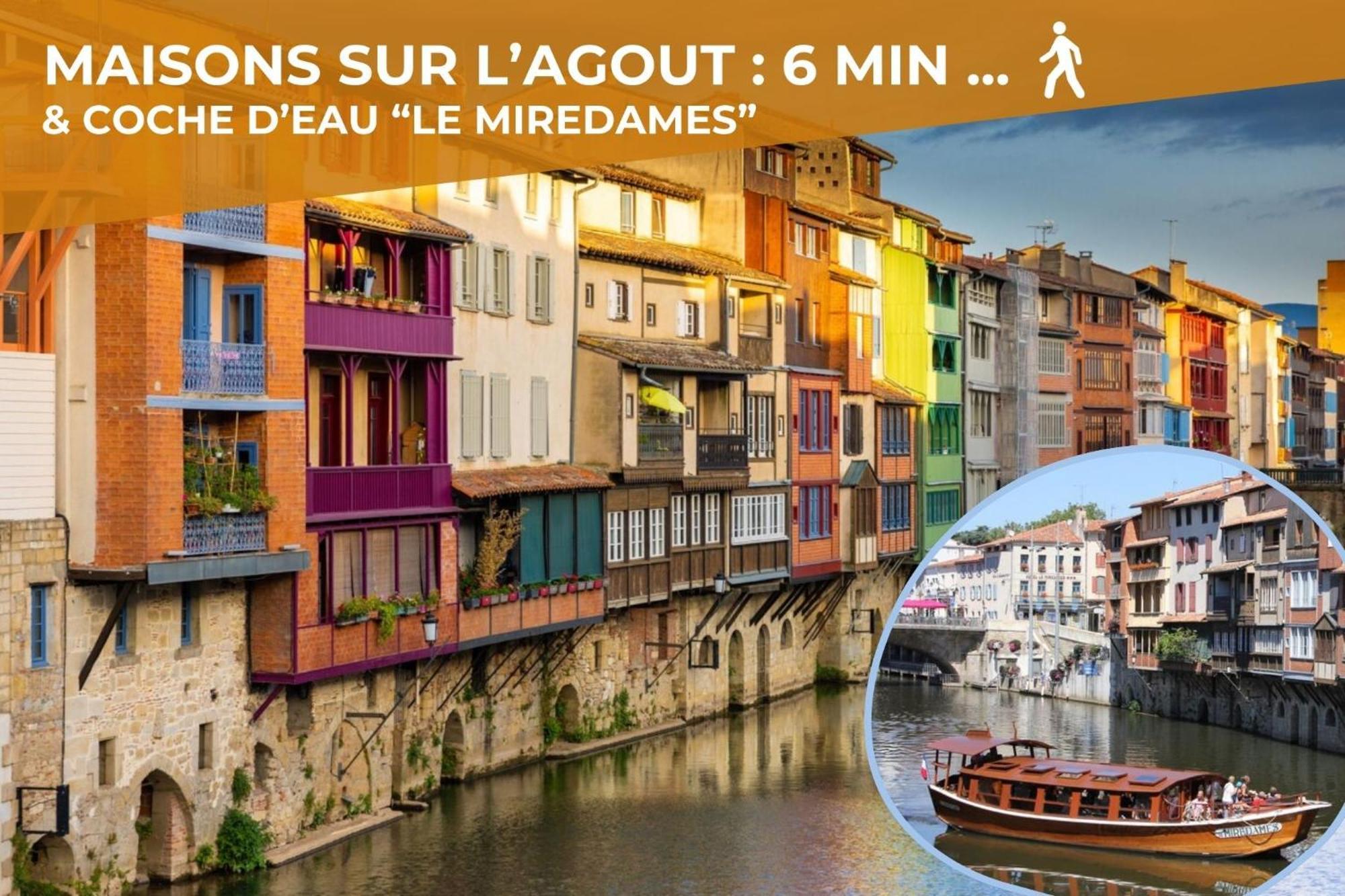 L'Eveche - T3 Spacieux & Traversant En Hypercentre Castres  Buitenkant foto